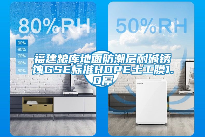 福建糧庫(kù)地面防潮層耐堿銹蝕GSE標(biāo)準(zhǔn)HDPE土工膜1.0厚