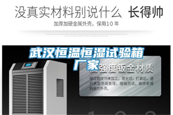 武漢恒溫恒濕試驗(yàn)箱廠家