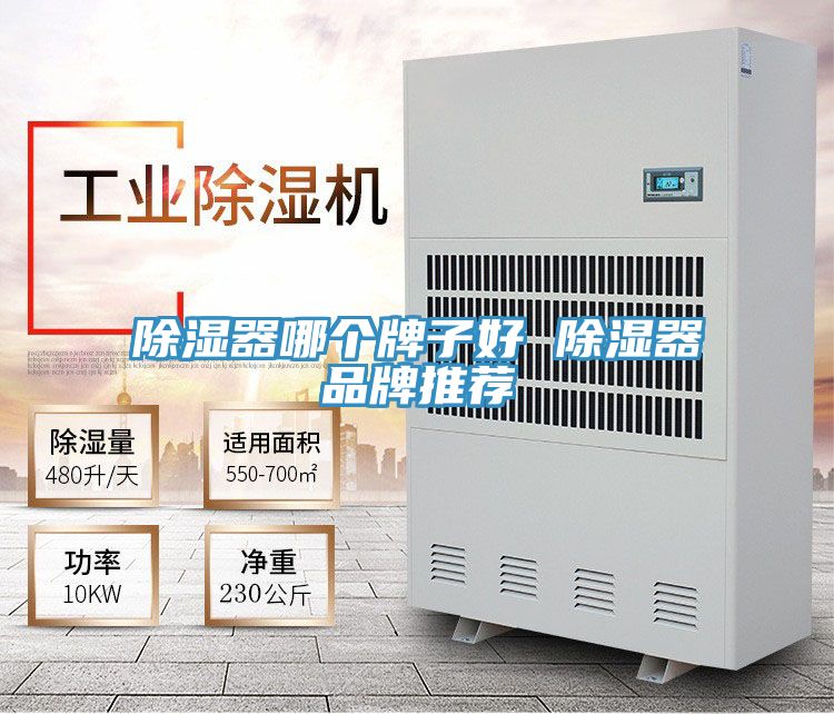 除濕器哪個牌子好 除濕器品牌推薦