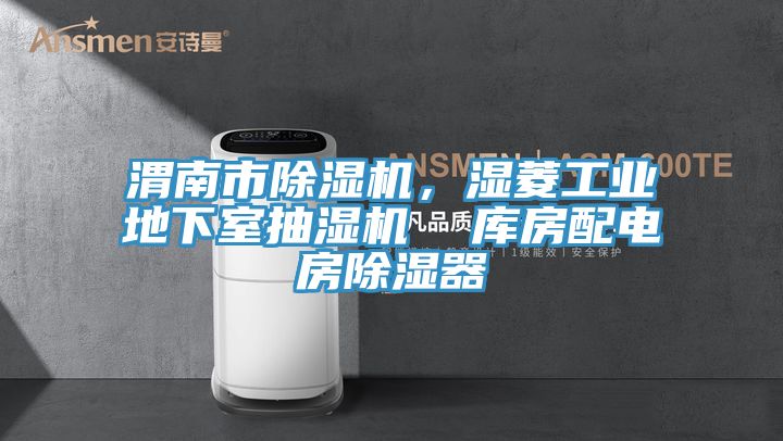 渭南市除濕機(jī)，濕菱工業(yè)地下室抽濕機(jī)  庫房配電房除濕器