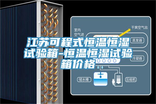 江蘇可程式恒溫恒濕試驗(yàn)箱-恒溫恒濕試驗(yàn)箱價(jià)格