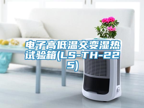 電子高低溫交變濕熱試驗(yàn)箱(LS-TH-225)
