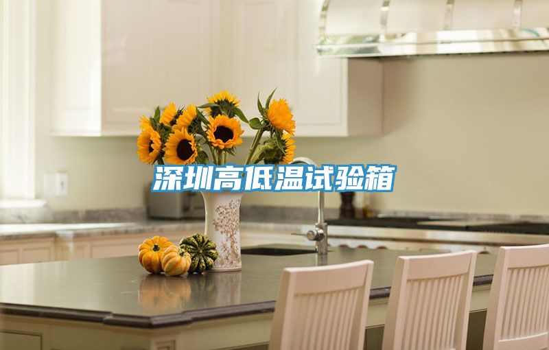深圳高低溫試驗(yàn)箱