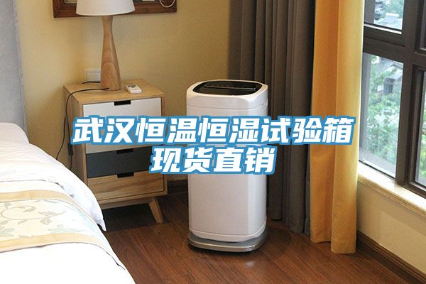 武漢恒溫恒濕試驗(yàn)箱現(xiàn)貨直銷