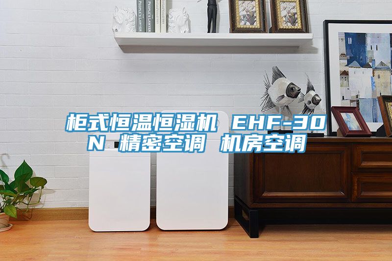 柜式恒溫恒濕機 EHF-30N 精密空調(diào) 機房空調(diào)