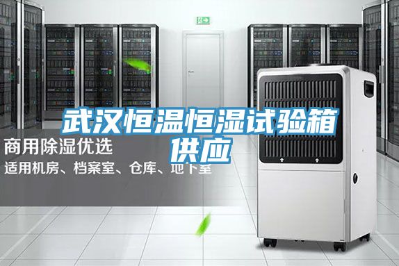 武漢恒溫恒濕試驗(yàn)箱供應(yīng)