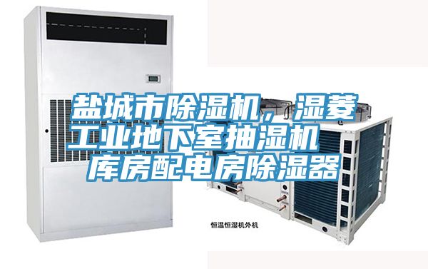 鹽城市除濕機，濕菱工業(yè)地下室抽濕機  庫房配電房除濕器