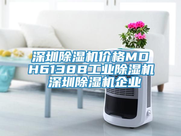 深圳除濕機(jī)價(jià)格MDH6138B工業(yè)除濕機(jī) 深圳除濕機(jī)企業(yè)