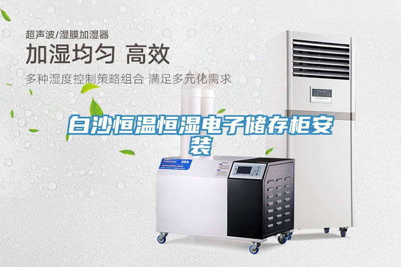 白沙恒溫恒濕電子儲存柜安裝