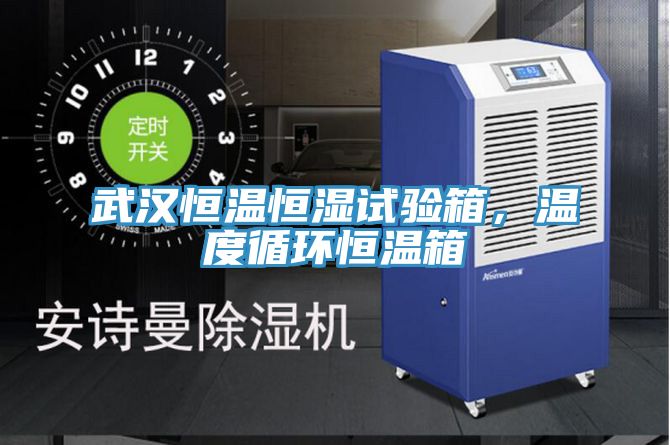 武漢恒溫恒濕試驗(yàn)箱，溫度循環(huán)恒溫箱