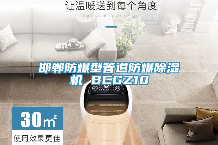 邯鄲防爆型管道防爆除濕機(jī) BCGZ10