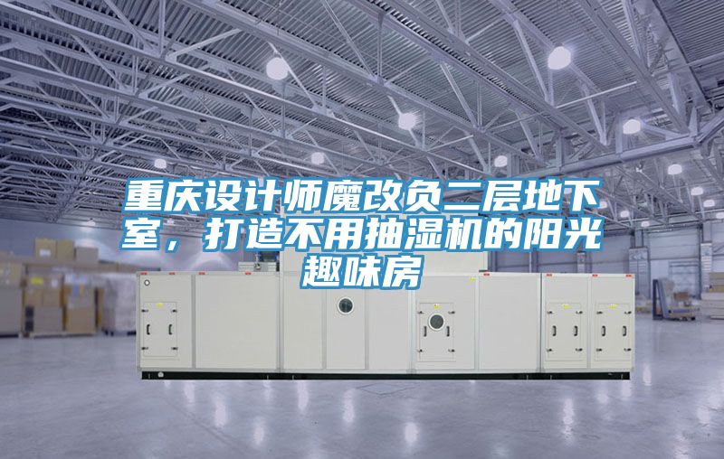 重慶設(shè)計(jì)師魔改負(fù)二層地下室，打造不用抽濕機(jī)的陽(yáng)光趣味房