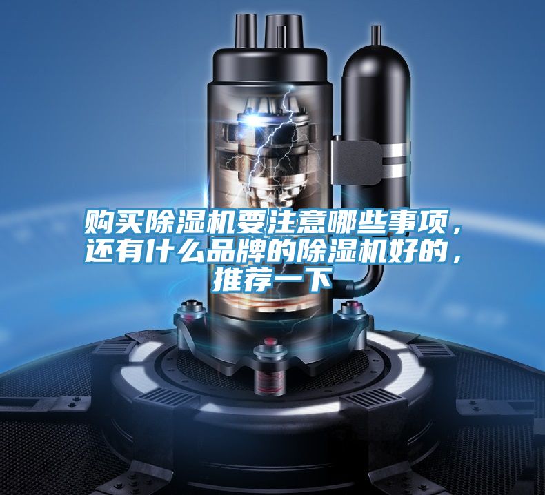 購買除濕機(jī)要注意哪些事項(xiàng)，還有什么品牌的除濕機(jī)好的，推薦一下