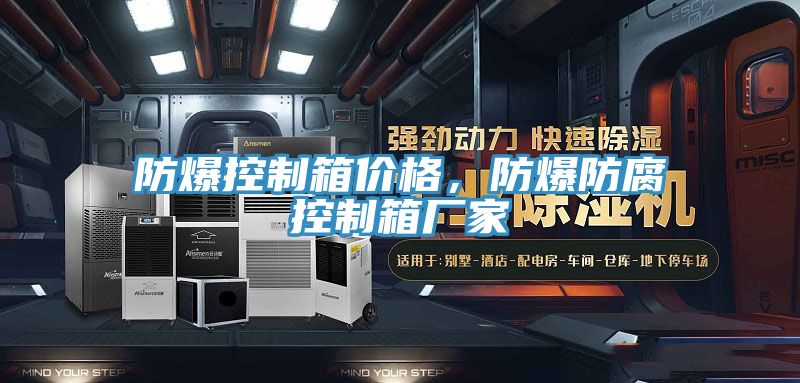防爆控制箱價格，防爆防腐控制箱廠家