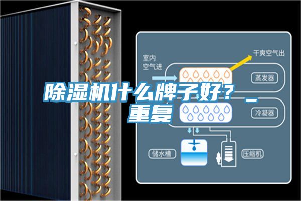 除濕機(jī)什么牌子好？_重復(fù)