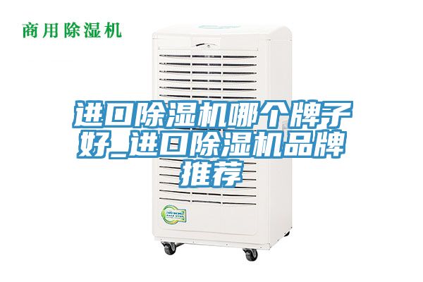 進(jìn)口除濕機(jī)哪個(gè)牌子好_進(jìn)口除濕機(jī)品牌推薦