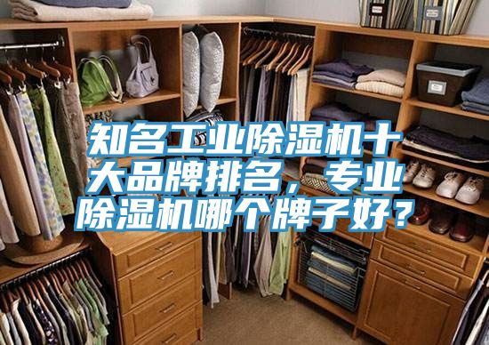 知名工業(yè)除濕機(jī)十大品牌排名，專業(yè)除濕機(jī)哪個(gè)牌子好？