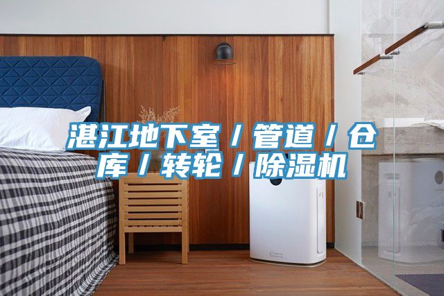 湛江地下室／管道／倉(cāng)庫(kù)／轉(zhuǎn)輪／除濕機(jī)
