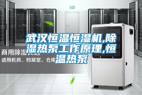 武漢恒溫恒濕機,除濕熱泵工作原理,恒溫?zé)岜?></div>
								<div   id=