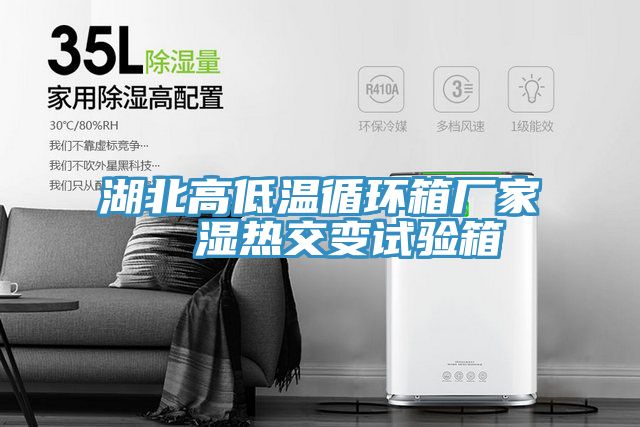 湖北高低溫循環(huán)箱廠家  濕熱交變試驗箱