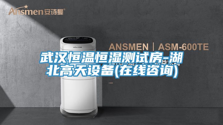 武漢恒溫恒濕測(cè)試房-湖北高天設(shè)備(在線咨詢(xún))