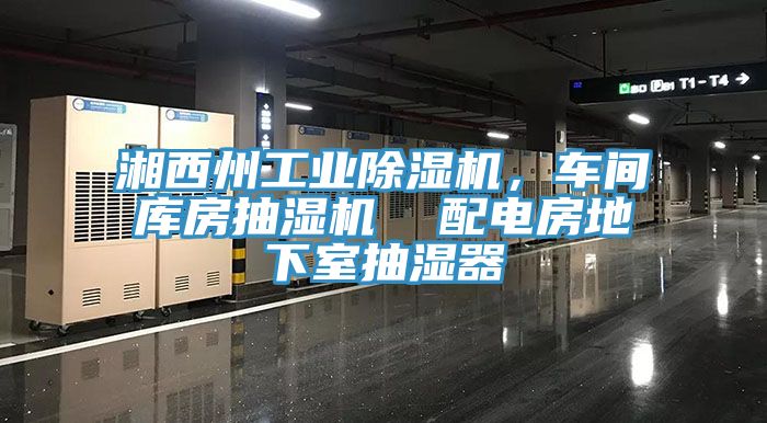 湘西州工業(yè)除濕機(jī)，車間庫(kù)房抽濕機(jī)  配電房地下室抽濕器