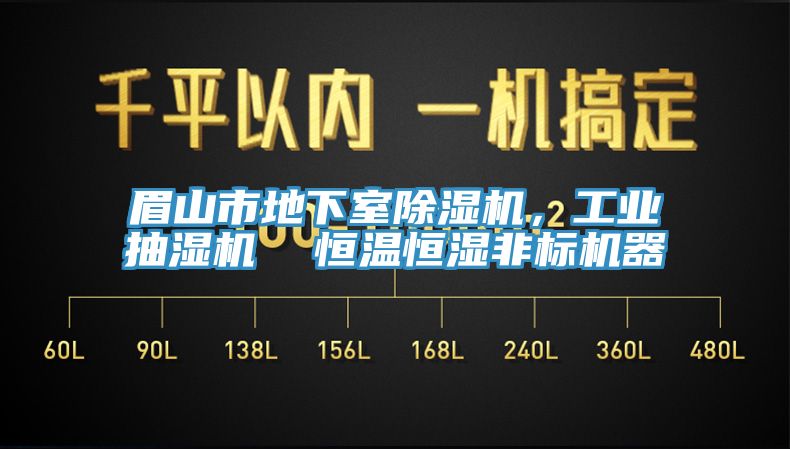 眉山市地下室除濕機(jī)，工業(yè)抽濕機(jī)  恒溫恒濕非標(biāo)機(jī)器