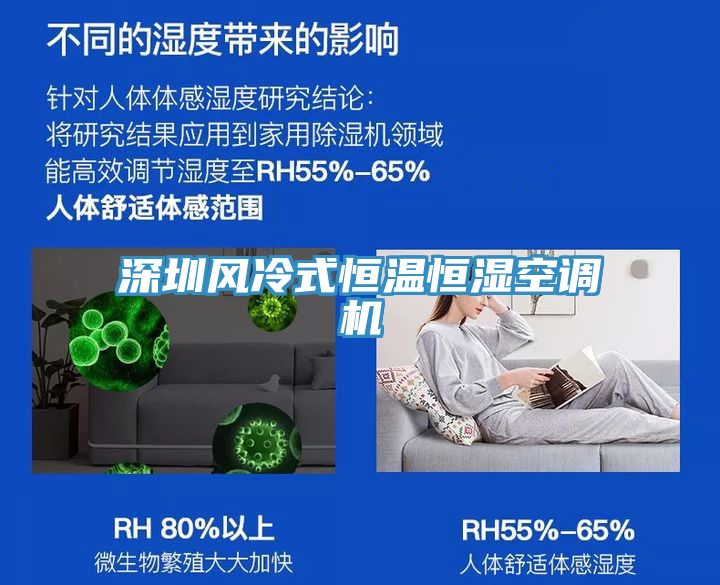 深圳風(fēng)冷式恒溫恒濕空調(diào)機