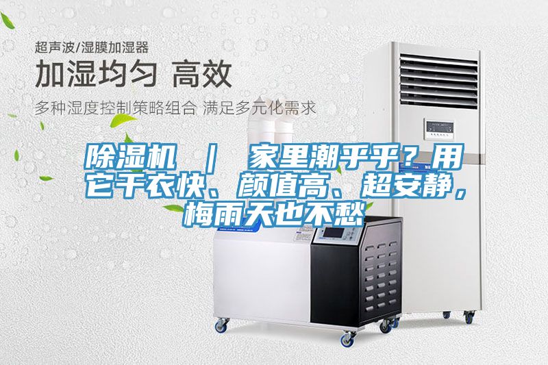 除濕機 ｜ 家里潮乎乎？用它干衣快、顏值高、超安靜，梅雨天也不愁