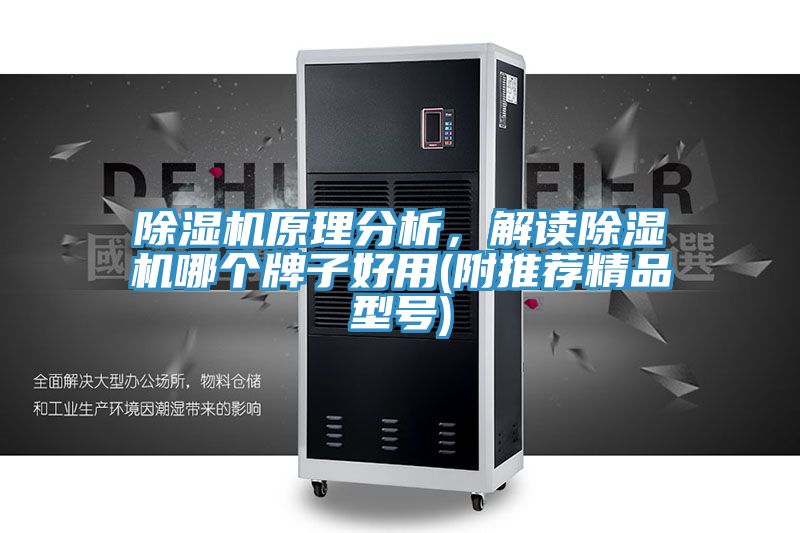 除濕機原理分析，解讀除濕機哪個牌子好用(附推薦精品型號)