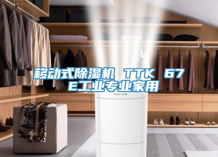 移動式除濕機 TTK 67 E工業(yè)專業(yè)家用