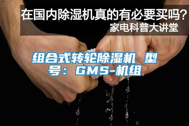 組合式轉(zhuǎn)輪除濕機 型號：GMS-機組