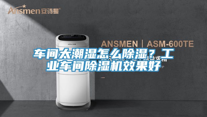 車間太潮濕怎么除濕？工業(yè)車間除濕機效果好