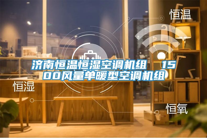 濟南恒溫恒濕空調(diào)機組  1500風(fēng)量單暖型空調(diào)機組