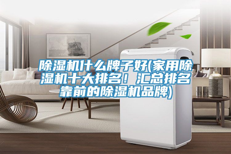 除濕機(jī)什么牌子好(家用除濕機(jī)十大排名！匯總排名靠前的除濕機(jī)品牌)