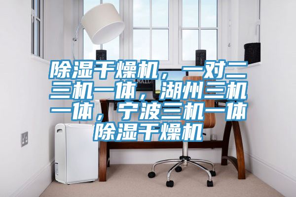 除濕干燥機，一對二三機一體，湖州三機一體，寧波三機一體除濕干燥機