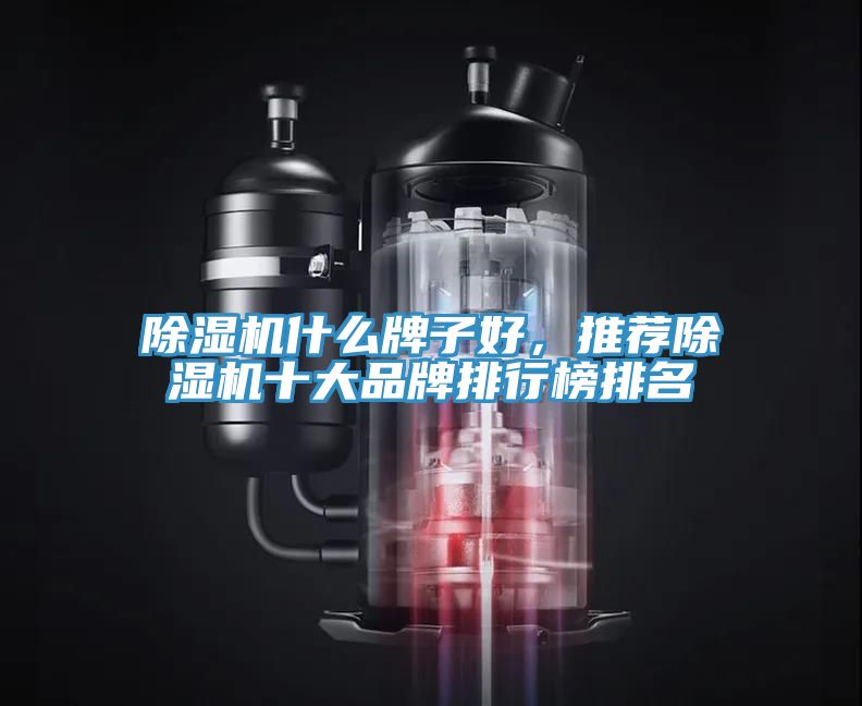除濕機(jī)什么牌子好，推薦除濕機(jī)十大品牌排行榜排名