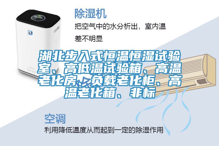 湖北步入式恒溫恒濕試驗(yàn)室、高低溫試驗(yàn)箱、高溫老化房、負(fù)載老化柜、高溫老化箱、非標(biāo)