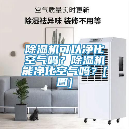 除濕機(jī)可以凈化空氣嗎？除濕機(jī)能凈化空氣嗎？[圖]