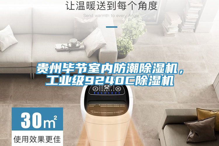 貴州畢節(jié)室內(nèi)防潮除濕機(jī)，工業(yè)級(jí)9240C除濕機(jī)