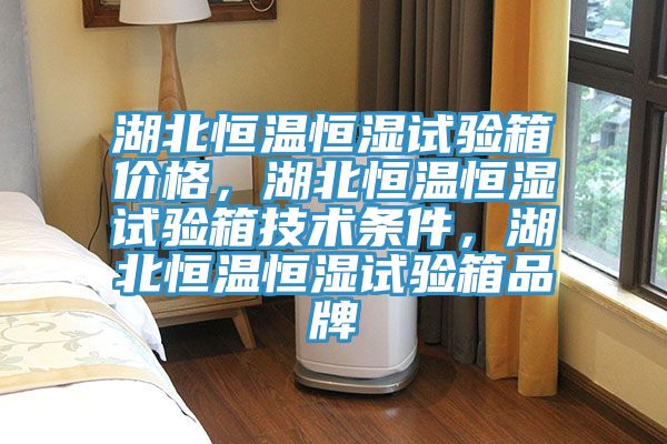 湖北恒溫恒濕試驗(yàn)箱價(jià)格，湖北恒溫恒濕試驗(yàn)箱技術(shù)條件，湖北恒溫恒濕試驗(yàn)箱品牌