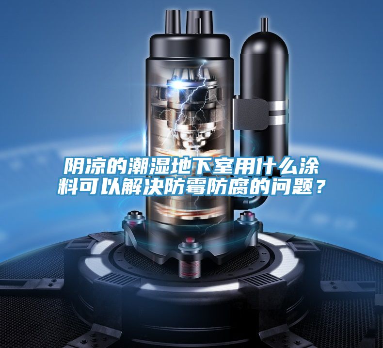 陰涼的潮濕地下室用什么涂料可以解決防霉防腐的問題？