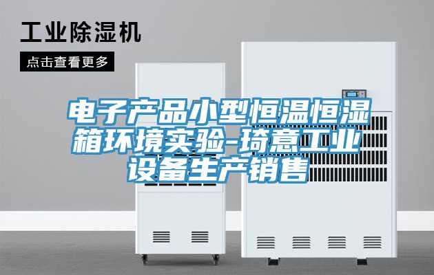 電子產(chǎn)品小型恒溫恒濕箱環(huán)境實(shí)驗(yàn)-琦意工業(yè)設(shè)備生產(chǎn)銷售