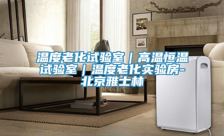 溫度老化試驗(yàn)室｜高溫恒溫試驗(yàn)室｜溫度老化實(shí)驗(yàn)房-北京雅士林