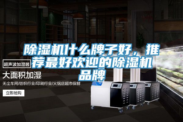 除濕機(jī)什么牌子好，推薦最好歡迎的除濕機(jī)品牌