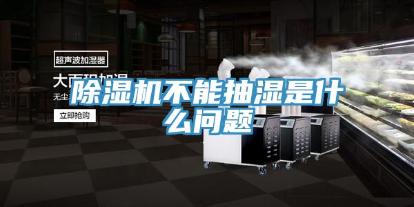 除濕機(jī)不能抽濕是什么問題