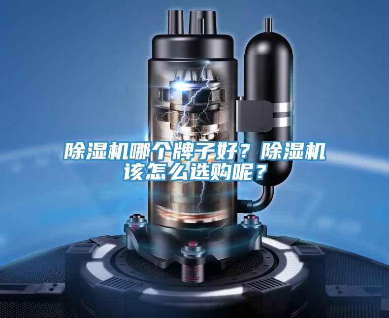 除濕機(jī)哪個(gè)牌子好？除濕機(jī)該怎么選購呢？