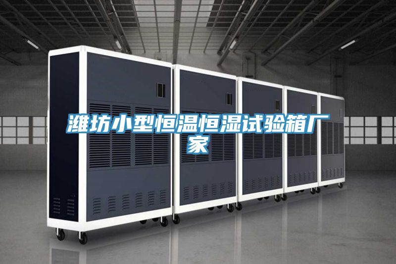 濰坊小型恒溫恒濕試驗(yàn)箱廠(chǎng)家