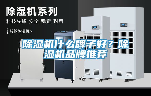 除濕機什么牌子好？除濕機品牌推薦