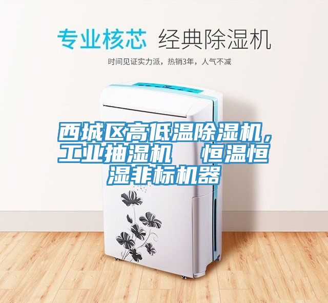 西城區(qū)高低溫除濕機(jī)，工業(yè)抽濕機(jī)  恒溫恒濕非標(biāo)機(jī)器